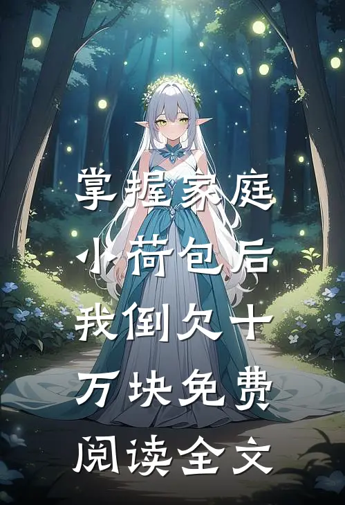 掌握家庭小荷包后，我倒欠十万块免费阅读全文