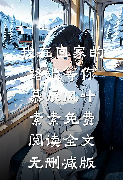 我在回家的路上等你最新免费章节