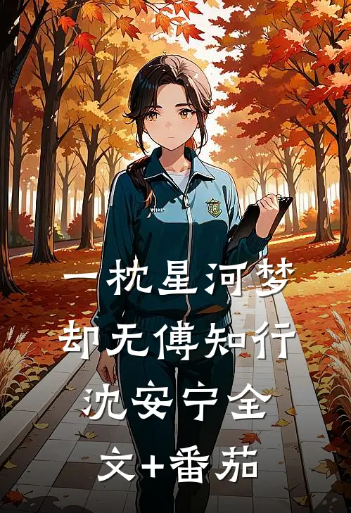 一枕星河梦却无傅知行沈安宁全文+番茄