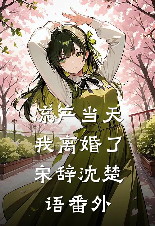 流产当天，我离婚了宋辞沈楚语番外