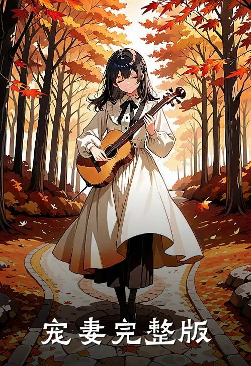 宠妻完整版