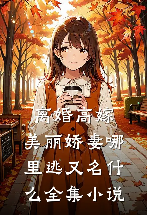 离婚高嫁:美丽娇妻哪里逃又名什么全集小说