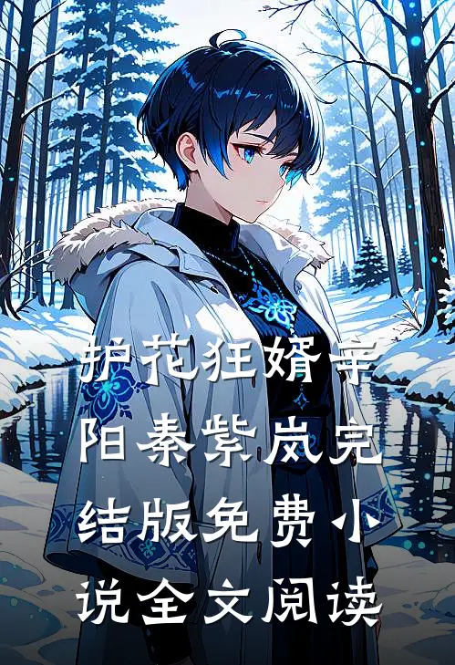 护花狂婿辛阳秦紫岚完结版免费小说全文阅读
