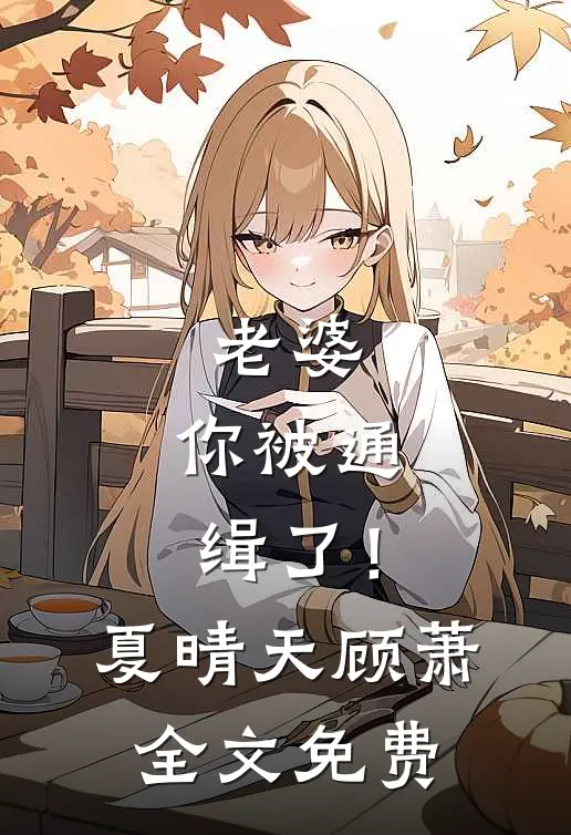 老婆，你被通缉了！夏晴天顾萧全文免费