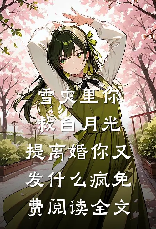 雪灾里你救白月光，提离婚你又发什么疯免费阅读全文