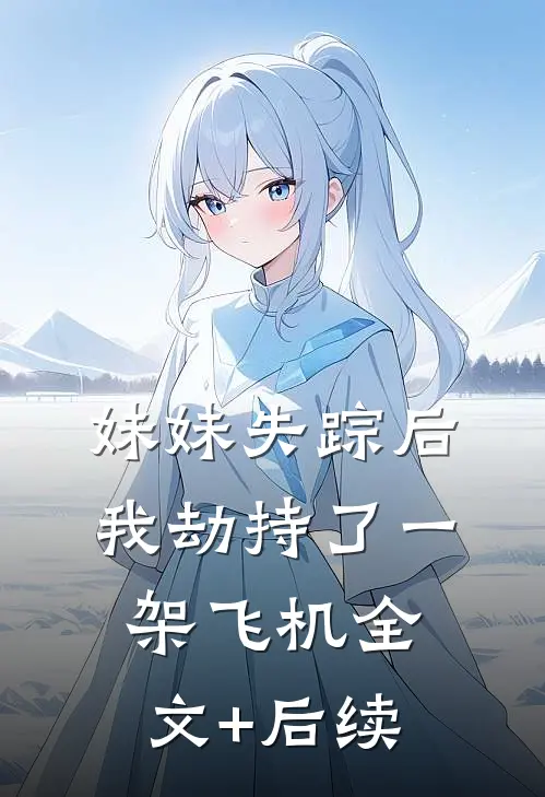 妹妹失踪后，我劫持了一架飞机全文+后续
